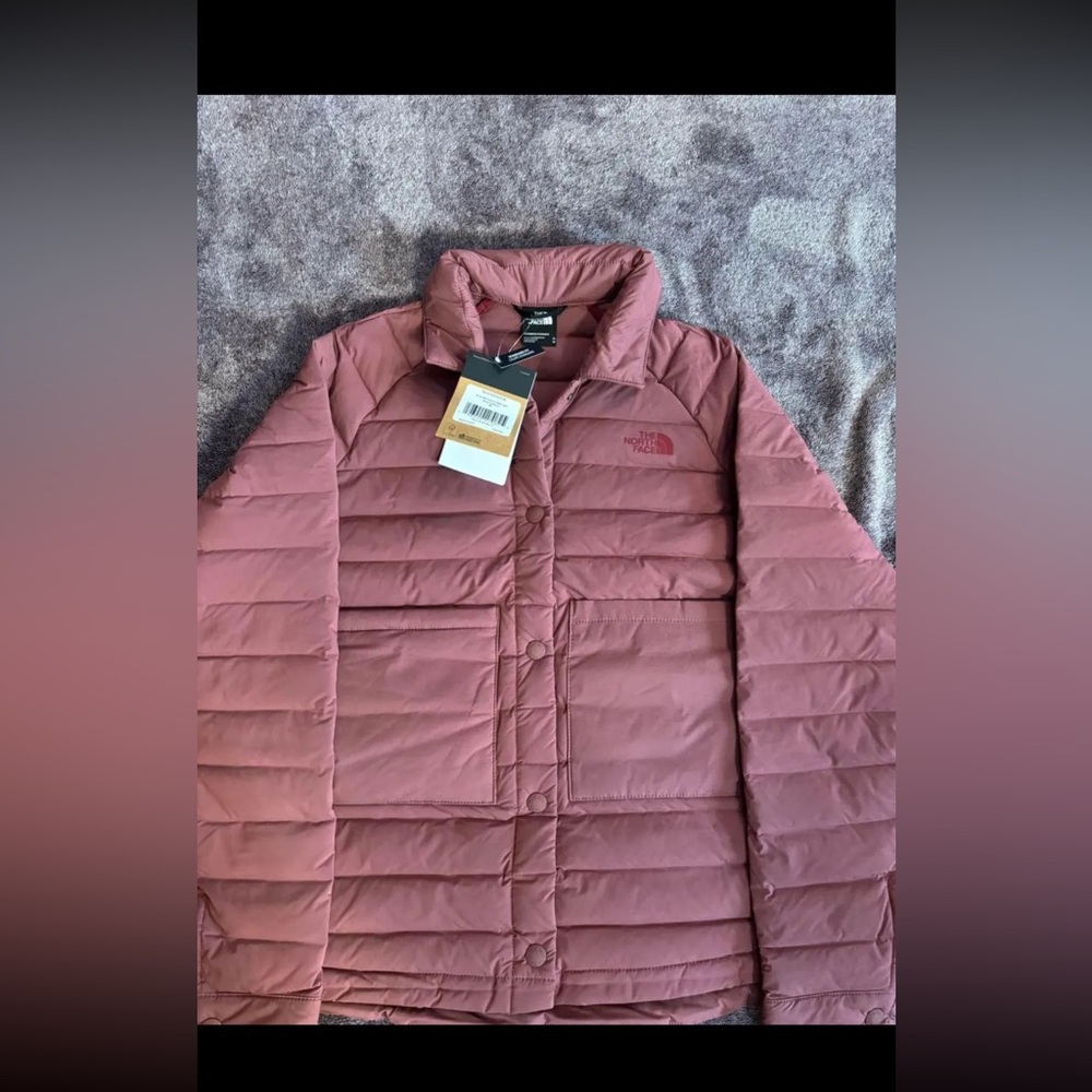 The north face Gotham jacket